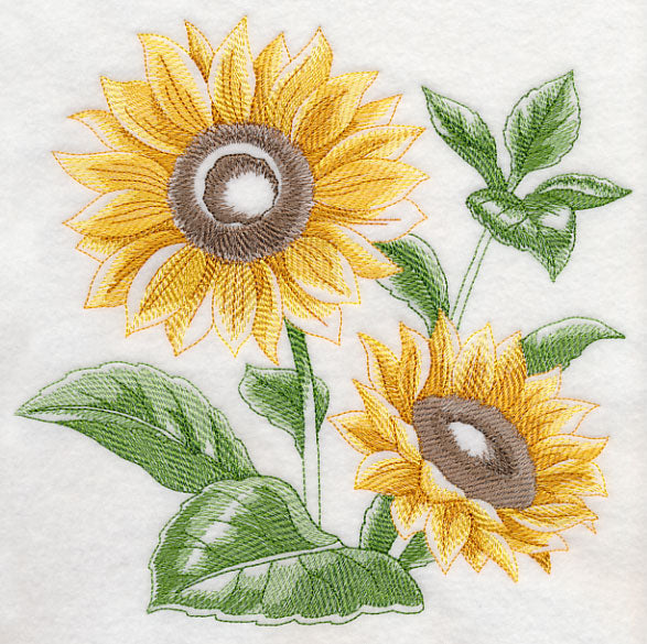 Sunflower Sketch