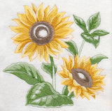 Sunflower Sketch