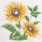 Sunflower Sketch