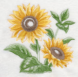 Sunflower Sketch