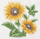 Sunflower Sketch