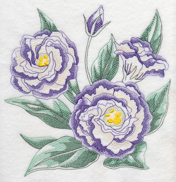 Lisianthus Sketch