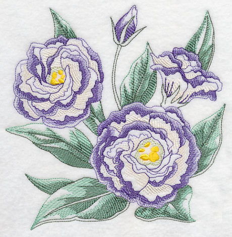 Lisianthus Sketch