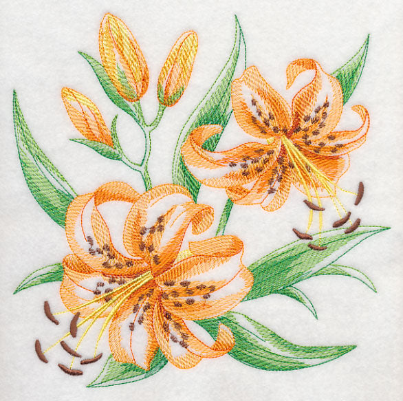 sketches of tiger lilies Tiger Lily Sketch
