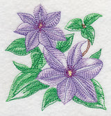 Clematis Sketch