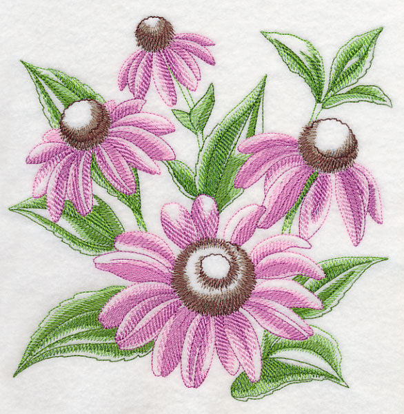 Purple Coneflower Sketch