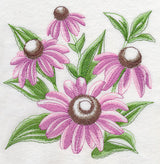 Purple Coneflower Sketch