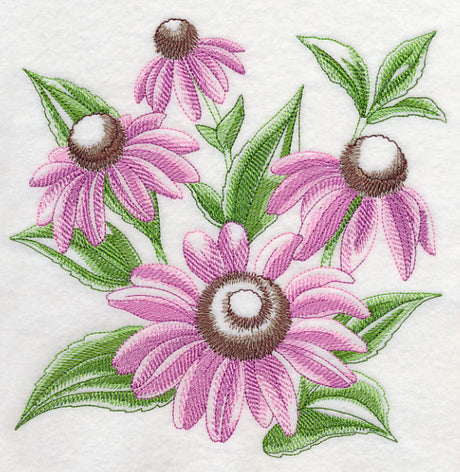 Purple Coneflower Sketch