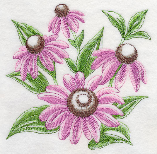 Purple Coneflower Sketch