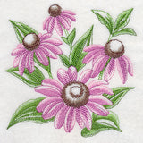 Purple Coneflower Sketch