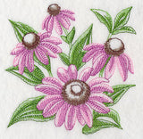 Purple Coneflower Sketch