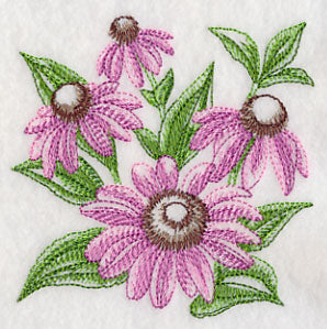 Purple Coneflower Sketch