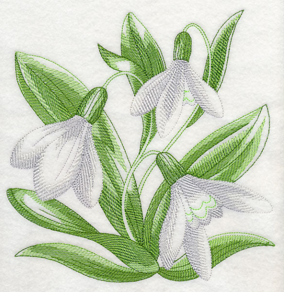 Snowdrops Sketch