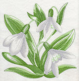 Snowdrops Sketch