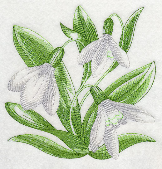 Snowdrops Sketch