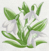 Snowdrops Sketch