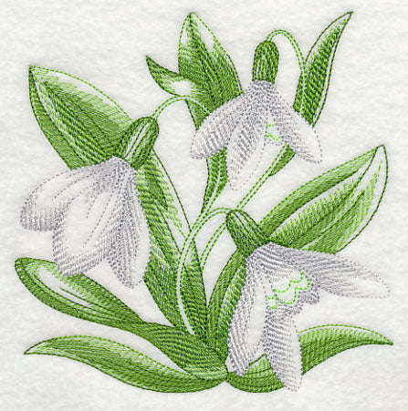 Snowdrops Sketch