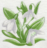 Snowdrops Sketch