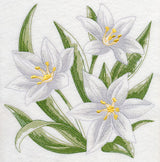 Star of Bethlehem Sketch