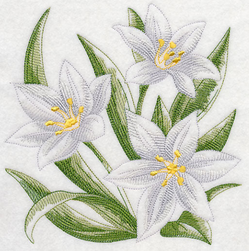 Star of Bethlehem Sketch