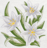 Star of Bethlehem Sketch