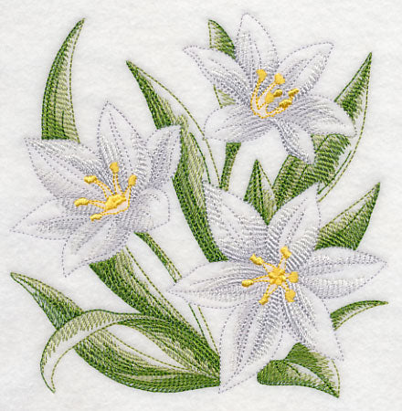Star of Bethlehem Sketch