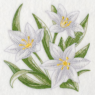 Star of Bethlehem Sketch
