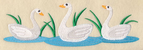 White Swan Border