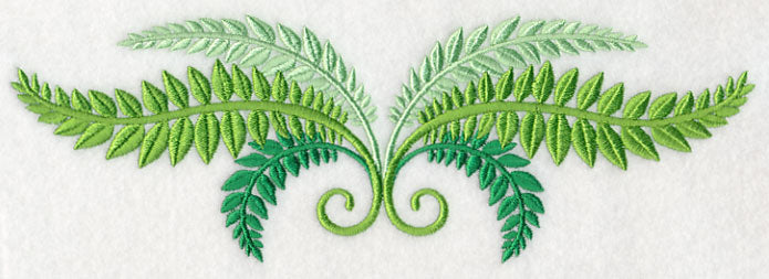 Fresh Fern Border