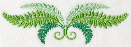 Fresh Fern Border