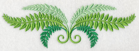 Fresh Fern Border