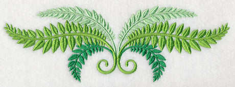 Fresh Fern Border