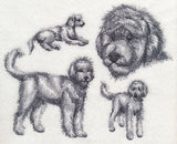 Goldendoodle Sketch