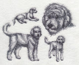 Goldendoodle Sketch