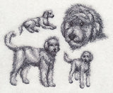 Goldendoodle Sketch