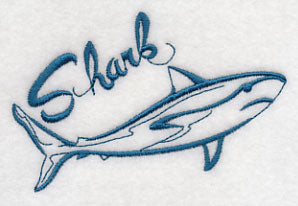 Splendid Sea Life - Shark