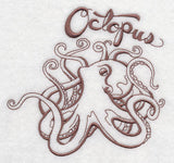 Splendid Sea Life - Octopus