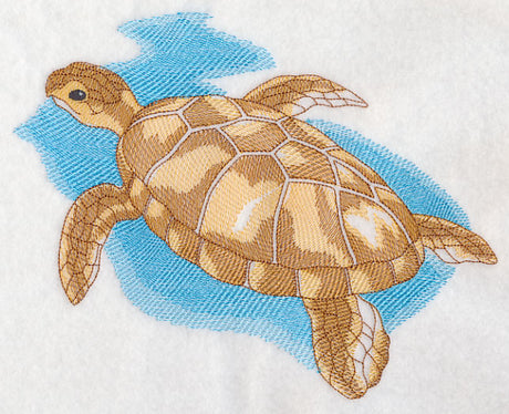 Sea Life Splash - Sea Turtle