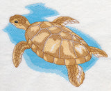 Sea Life Splash - Sea Turtle