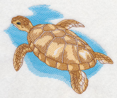 Sea Life Splash - Sea Turtle