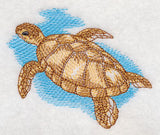 Sea Life Splash - Sea Turtle