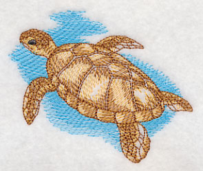 Sea Life Splash - Sea Turtle