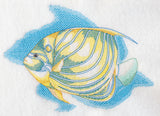 Sea Life Splash - Blue Ring Angelfish