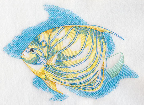 Sea Life Splash - Blue Ring Angelfish