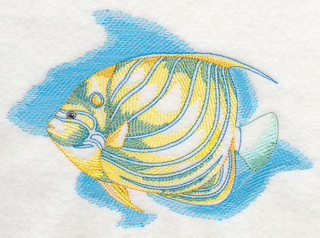 Sea Life Splash - Blue Ring Angelfish