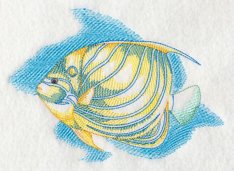 Sea Life Splash - Blue Ring Angelfish