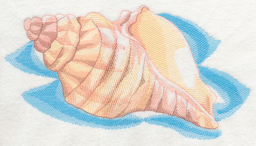 Sea Life Splash - Sea Shell 1