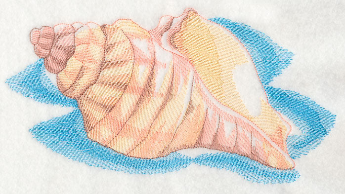 Sea Life Splash - Sea Shell 1