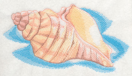 Sea Life Splash - Sea Shell 1