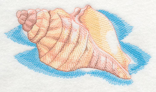 Sea Life Splash - Sea Shell 1
